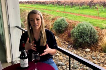 Andis 2017 Barbera d'Amador Sierra Foothills