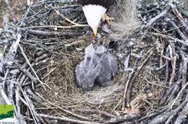 Late lunch in the 'Boro