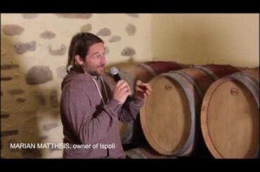 Winemakers in ChiantiShire!! Fattoria Ispoli, Mercatale in Val di Pesa, Firenze 2020