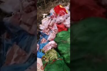 Food being Thrown Out | CORONA VIRUS || USA || ITALY || IRAN SPAIN || PAKISTAN || INDIA