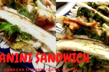 Panini Sandwich/Italian Sandwich/Sandwich With Pitta Bread