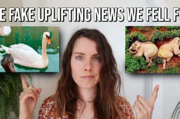 Did dolphins and swans really return to Venice? // This Week in Ecology