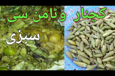 Nice, Kachnar Recipe, !Kachnar Ki Sabzi کچنار! Karuna Se bachne, Ke Liye! Nows,Karuna virus se bachn