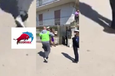 ITALIAN GOVERNMENT FOOD SHARING PROGRAM IN SUPPORT OF CORONAVIRUS "WHAT IS YOUR COMMENT ON IT"