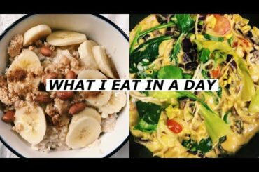 (corona) VLOG: what i eat in a day, making oat milk, still quarantined