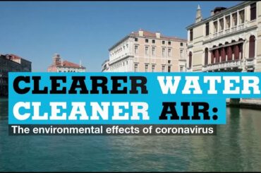 Clearer water, cleaner air: The environmental effects of coronavirus