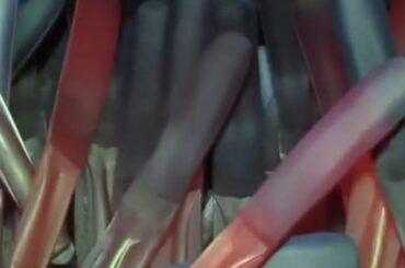 Mepra Ergonomica 132228075 75 Pcs Cutlery Set  Stainless Steel Tableware, Dishwasher Safe Cu