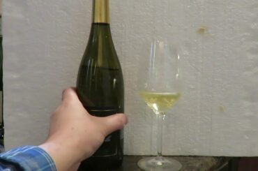 Sauvignon Blanc -2015; il Poggiarello; Travo, Italy