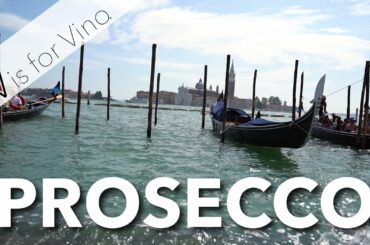 Visiting Venice and Prosecco Italy, to Learn All About Prosecco Wine - V is for Vino Wine Show