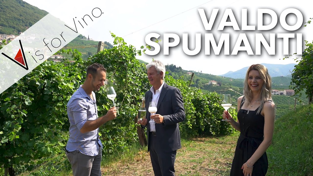 How They Grow & Make & Bottle Prosecco – Visit & Tasting Valdo Spumanti Winery in Prosecco Italy How They Grow & Make & Bottle Prosecco - Visit & Tasting Valdo Spumanti Winery in Prosecco Italy