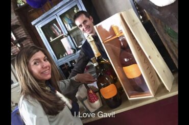 Best of Divine Piedmont 2019