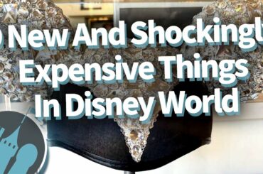 9 New and Shockingly Expensive Things in Disney World!