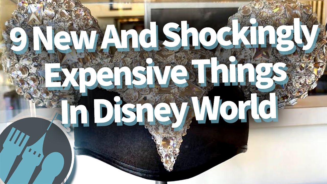 9 New and Shockingly Expensive Things in Disney World! 9 New and Shockingly Expensive Things in Disney World!