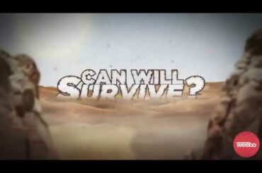 Can Will Survive: How to Dress a Wound with Italian Cuisine