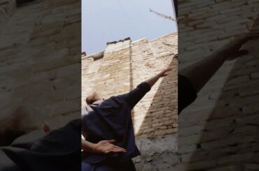 JUNO VINE - ITALY QUARANTINE DANCE CHALLENGE