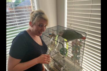 Wine Down Wednesday with Ang: March 25, 2020