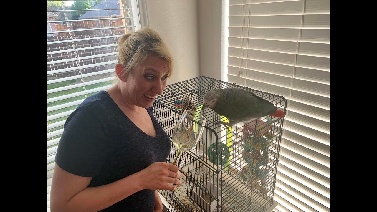 Wine Down Wednesday with Ang: March 25, 2020 Wine Down Wednesday with Ang: March 25, 2020