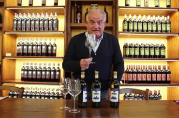 Tenuta Torciano in Italy:Virtual Wine Class Pierluigi Giachi teaches to taste italian white wine !