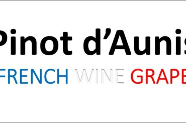 How to Pronounce Pinot d'Aunis? French Wine Grape Pronunciation