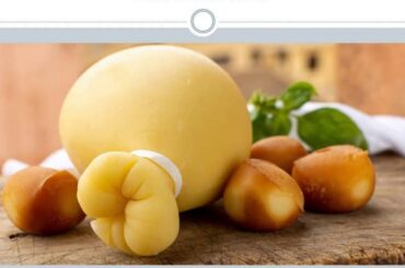 International Hospitality- Italian Cuisine