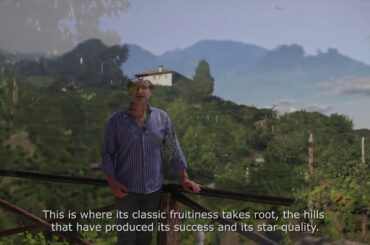 Il territorio del Valdobbiadene (The territory of Valdobbiadene)