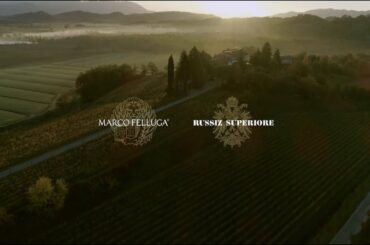 Autumn at Marco Felluga