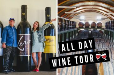 WINE TASTING in MENDOZA, ARGENTINA! 🍷 | Full Day Winery Tour of BODEGAS LÓPEZ in Maipú 🇦🇷