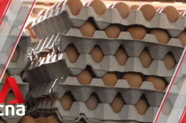 Diversification of food sources underway amid COVID-19, but challenges remain