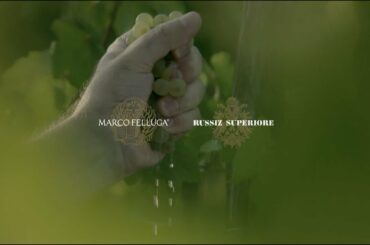 Marco Felluga / Russiz Superiore