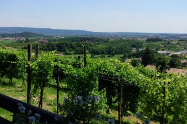 95.1 - Happy beats on top of Italian hill of vineyards