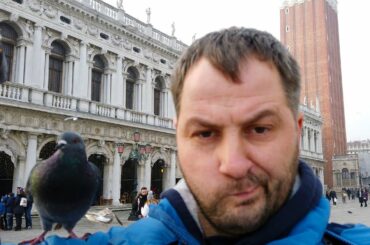 Pigeons of Venice - Nightmare for Tourists who love eating burgers :D - Animalz TV