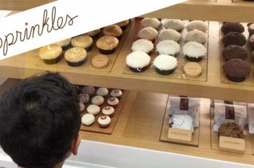 Sprinkles - S'mores Cupcake - Disney Springs ✨✨