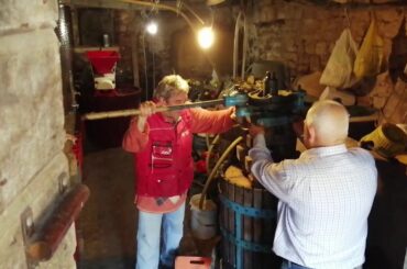 Making wine in Colle Marmo - Abruzzo (Montepulciano )