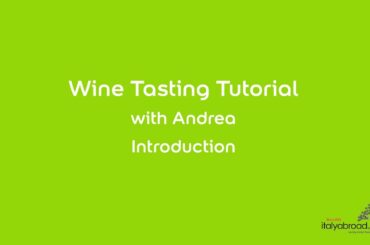 Wine tasting tutorial - Introduction