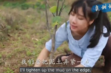 Mukbang eating show chinese, chinese food countryside eater - MUKBANG Big Eater Eating Show