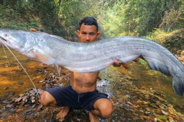 Amazing Man Cooking Monster Fish for Dinner in Forest