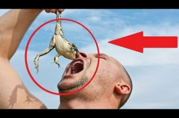 देखिए क्या क्या खा जाते है ये चीन वाले || Fake Chinese food that only exist in china