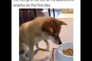ME TRYING NOT TO EAT ALL MY QUARANTINE SNACKS AT THE FIRST DAY😂😂😂