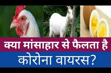 Does Eating Chicken Mutton Fish & Eggs Cause Corona Virus? || Corona Virus updates in Hindi || SES