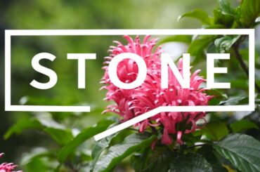 James Ramsay - 15 Karloon Road, West Pennant Hills - Property Video