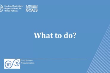 Novel coronavirus COVID-19 | Food supply chains under strain, what to do?