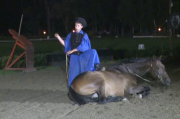 Social Dinner of 8th European Biophysical Congress part second