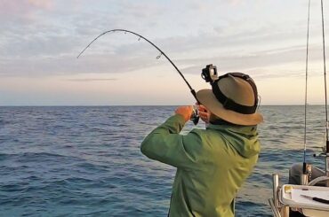 Panic shopping fisherman style (catch, clean, cook)