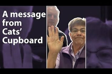 Delivery for Cat's Cupboard | Thursday, Mar. 26