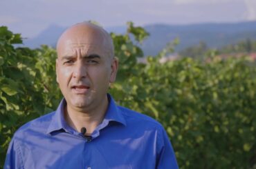 Bolla | The Italian art of tasting life