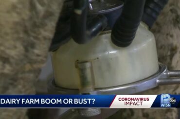 Coronavirus panic helps dairy farmers, but closures hurt