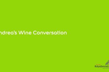 Andrea's Wine Conservations - Primitivo di Manduria