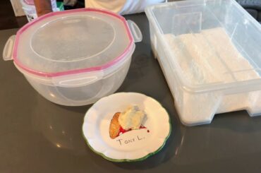 Neapolitan Pizza Dough using Sourdough Part: 1