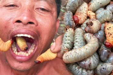 Unusual Foods That Could Ruin Your Life