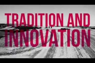 The Soul of Italian Wine - Alessandro Berselli